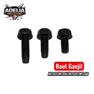 Odd Bolt M7x12 M7x16 M7x22 M7x40 Steel Nut. 10 Bolt Replacement