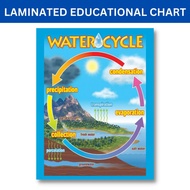 Laminated Water Cycle Chart for Kids, Learners and Students, Science Charts