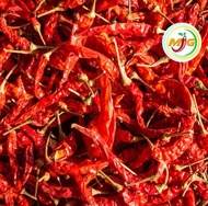 Dry Chilly / Dry Cili / Cili Kering ( Pedas / Spicy - 668)