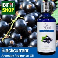 Aromatic Fragrance Oil (AFO) - Blackcurrant Aromatic Fragrance Oil - 50ml for diffuser perfume shamp
