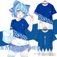 Men/Women/Teens Anime TouHou Project Cosplay Short Sleeve Round Neck T-Shirt