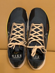 Nike Pegasus Trail 4 GTX (US10.5)