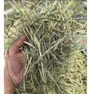 2025 NEW TIMOTHY HAY DUST FREE SUPER PREMIUM TIMOTHY HAY SOFT STEM