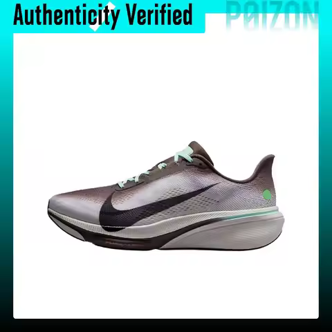 Nike Pegasus 42 Running Shoes Men's Low-top Ironstone/Sea Glass/Arctic Green/Black IW2349-001