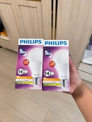 Philips 14w LED lighting
