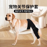 Pet Protective Gear Factory