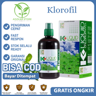 K Liquid Chlorophyl K Link 500 Ml Klorofil Herbal Kesehatan