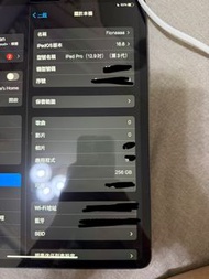 Apple iPad Pro (12.9 吋) (第3代) 256GB