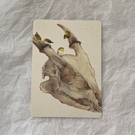 綠繡眼 山羌 水彩 圓角明信片