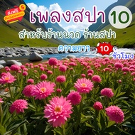 KD999 เสียงเพลงสปา ชุดที่ 10 ผ่อนคลาย ธรรมชาติบำบัด จิตใจผ่อนคลาย เสียงเพลงคลายเครียด