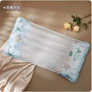 DDS - 兒童枕頭【枕高5cm】【恐龍世紀（適用3-7歲）】 #N161_013_383