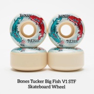 WHEELS / RODA BONES TUCKER BIG FISH V1 STF SKATEBOARD - ELSAND STORE