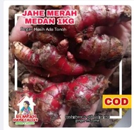 jahe merah segar 1kg-jahe merah medan-jahe merah segar 1kg super-rempah herbal-jahe segar-jahe merah