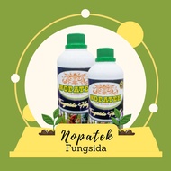 nopatek pupuk cabe NOPATEK Fungisida Hayati Obat Hama Patek Cabe