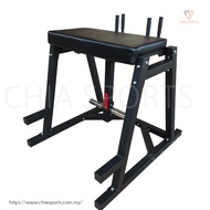 Reverse Hyperextension Machine Back Hamstring Glutes Lower Spine rehabilitation strengthening traini