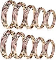 10 Rolls Bonsai Wires Anodized Aluminum Bonsai Training Wire in 5 Sizes - 1.0 mm, 1.5 mm, 2.0 mm, 2.