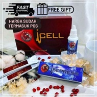 Penawar Penyakit Kronik (iSepress Icell)