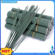 Iron Wire Sticks(12 Inch), 100Pcs 14 Gauge Set for DIY Floral Crafts Projects