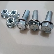 Flange bolt nut setBolt m10X30 pitch 1.25