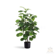 Artificial Plant Fiddle Fig Plant, faux plant, fake plant, home decor, events, garden Aplant842