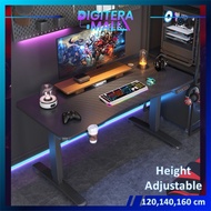 Adjustable Table Carbon Matte Gaming Table 160CM Standing Desk /Smart Lifting Motorized and Height A