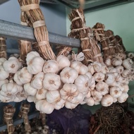 กระเทียมแก้ว ศรีสะเกษ [1 กิโลกรัม] กระเทียมใหม่ ต้นฤดู Thai garlic/泰国大蒜