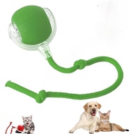 Mainan Kucing Interaktif untuk Kucing Dalaman, Mainan Bola Anjing Kucing Berguling Interaktif, Maina