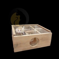 Hamster Maze Tunnel | Acrylic Maze Hamster | Hamster HideOut | Hamster Toys | Animal Needs