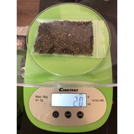 Benih/Seeds Indigofera Zollingeriana (20GRAM biji 2500+/-)