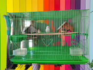 Lồng chứa chim nuôi chim nhỏ 60x42 x40 cm