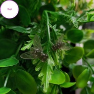 yiyi Fly Fishing Bait, Fly , Biomimetic Soft Plastic Bait VN