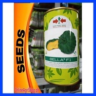 ✼ ◠ ☽ BELLA F1 (100GRAMS OR 840 SEEDS) HYBRID CALABASA BY EAST WEST SEEDS