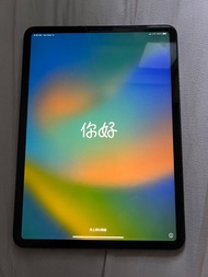 iPad Pro 2018 11 inch 256GB LTE Cellular Apple 蘋果