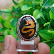 ORIGINAL DRAGON PICTURE PANCAWARNA AGATE STONE RING AGATE RING