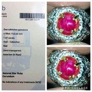 UNHEATED STAR RUBY BIRMA - Ada Pigeon Blood Blue Safir Srilanka