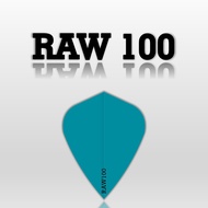 Ruthless Amazon Raw 100 Dart Flight Kite Solid Poly Flight Paper Flight Steel Tip Softtip