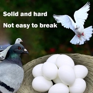 5pcs Pigeon Equipment Competition Pigeon Supplies Fake Pigeon Eggs Simulated Fake Eggs