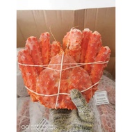 1.4KG CHILE PREMIUM KING CRAB 顶级帝王蟹