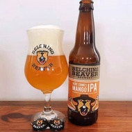 American Hiccup Beaver Dedicated Craft Beer Mug Tulip Wide Mouth BelchingBeaver Beer Mug