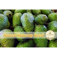 10pcs Seed Sweet Soursop Benih Manis Durian Belanda