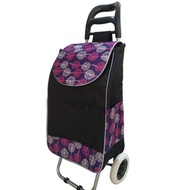 Portable Insulated Shopping Trolley2019Annual Shopping Cart，，All New，Shopping Cart Small Cart Shoppi