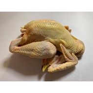 Fresh Kampong Whole Chicken