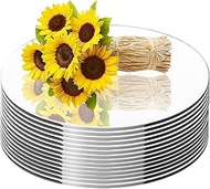 2mm Round Mirrors for Centerpieces, 12 Inch 9PCS 2mm Acrylic Mirrors Candle Plate Circle Mirror Cand