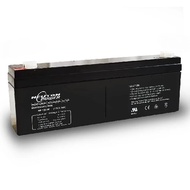 NEUTON POWER NP1223M LEAD ACID RECHARGEABLE BATTERY 12V 2.3AH