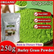 High quialty green Barley Grass Juice Powder Barley Grass Powder organic