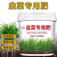 Leek Special Fertilizer Leek Thick Black and Bright Leek Seedling Fertilizer Family Vegetable Green Plant Potted Organic