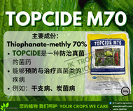 Topcide M70 (500G) Fungicide /Wettable Powder /Kulat Bintik daun /菌药 [Bright-M 700]