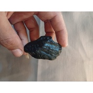 Galih stone f0sil tamarind wood 146