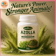 Azolla Powder Natural Plant Feed Additive Poultry Livestock Aquaculture Growth Support Feed Mix MF