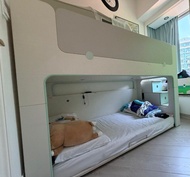 iloom Cabin Bunk Bed